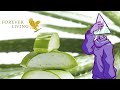 Forever Living's Aloe Can't Cure Scammy Behavior | Multi Level Mondays