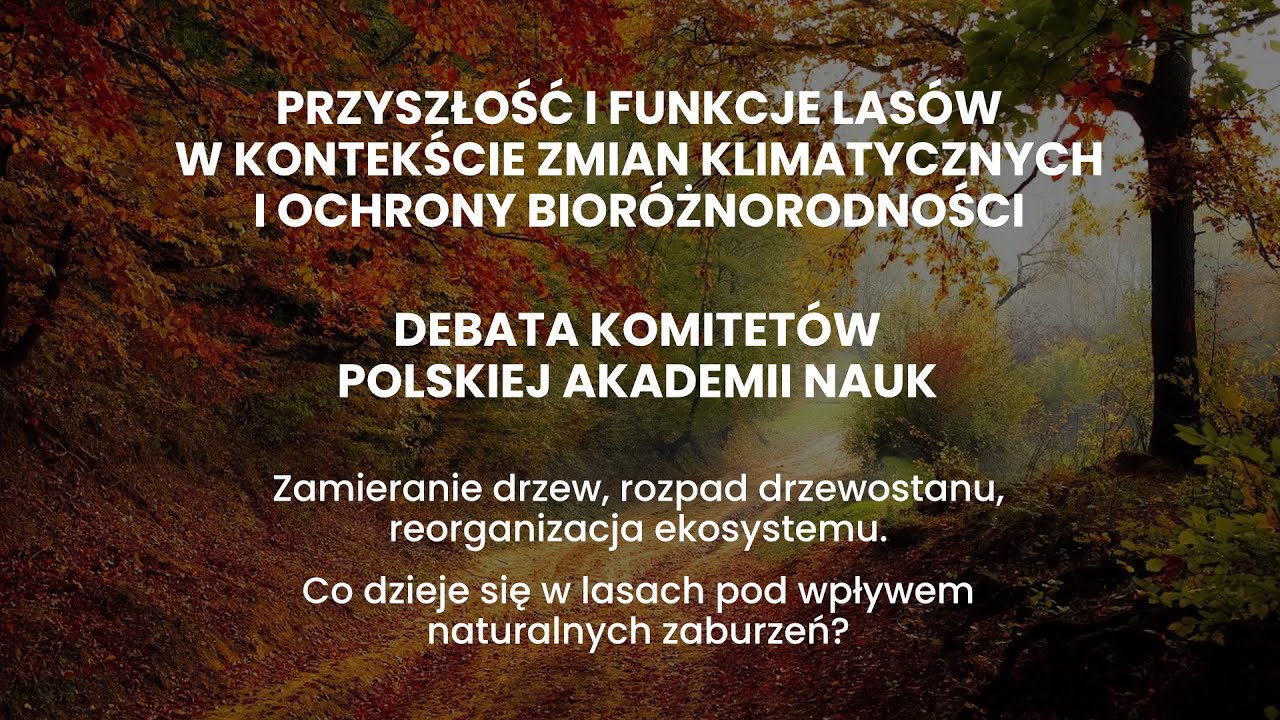 Co dzieje się w lasach pod wpływem naturalnych zaburzeń?