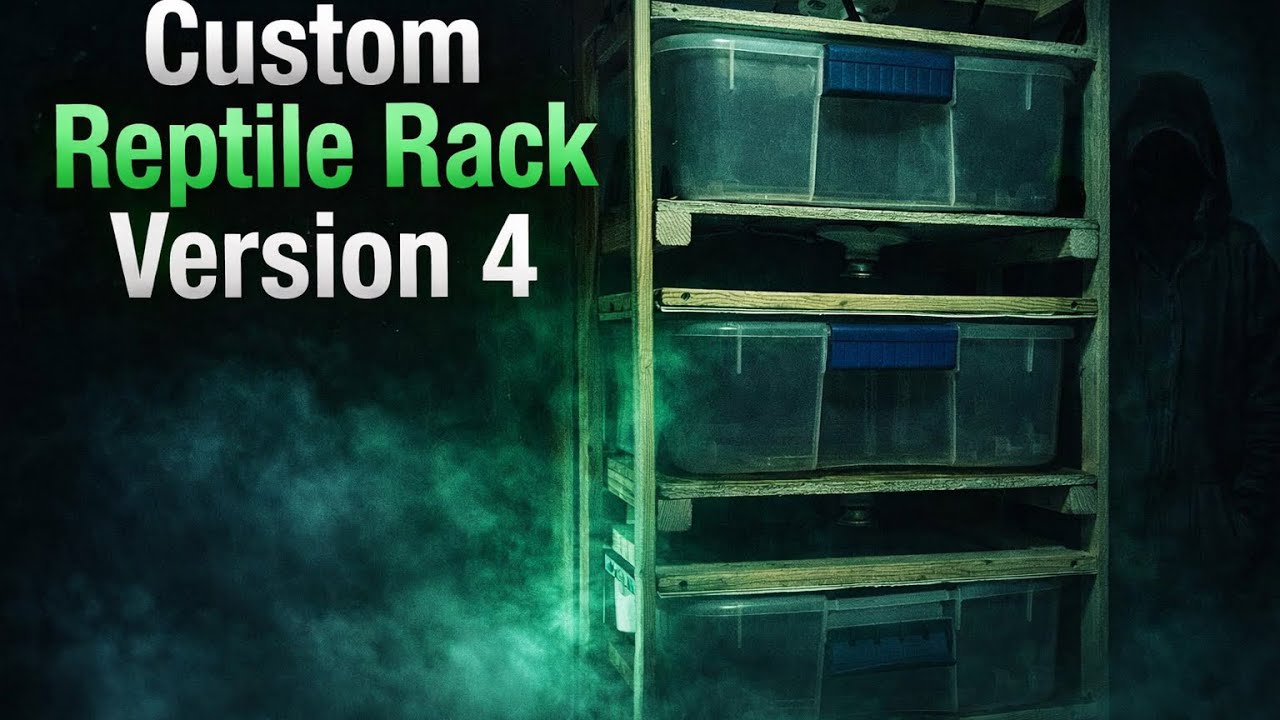 Custom Built Snake Rack The Evolution of Our Custom Reptile Rack (V4 Build) - YouTube