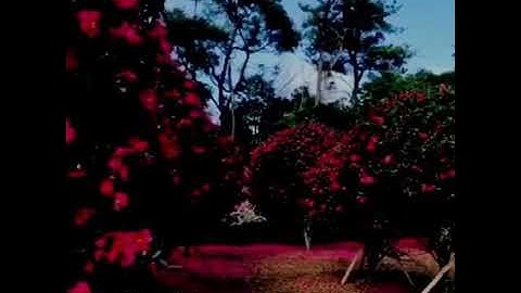 تلاوة خاشعة _بصوت القارئ الشيخ فارس عباد ﴿وَسارِعوا إِلى مَغفِرَةٍ مِن رَبِّكُم وَجَنَّةٍ عَرضُهَا ا