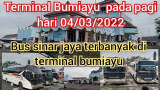 Download Lagu Terminal Bumiayu pda pagi hari 4/3/2022//bus sinar jaya terbanyak di terminal bumiayu MP3 Download Lagu Terminal Bumiayu pda pagi hari 4/3/2022//bus sinar jaya terbanyak di terminal bumiayu MP3