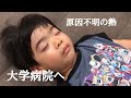 4歳児繰り返す高熱/セカンドオピニオンのち大学病院検査へ/白血球異常値