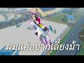 ผมแค่อยากจะเลี้ยงม้า (Roblox)