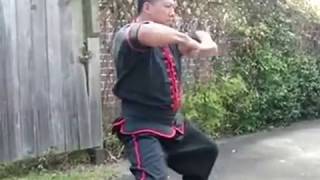 Tit Kiu Sam (鐵橋三) Traditional Hung Gar (洪家拳) - Siu Fu Hok Seung Ying Kuen (小虎鶴)