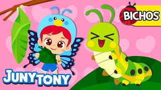 De Oruga A Mariposa Bichos E Insectos Canciones Infantiles Junytony En Español