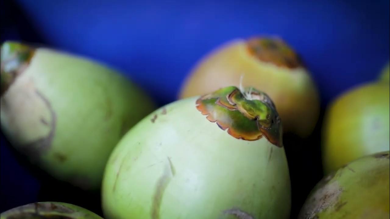 The best part of tender coconuts you're missing out on! Akshayakalpa