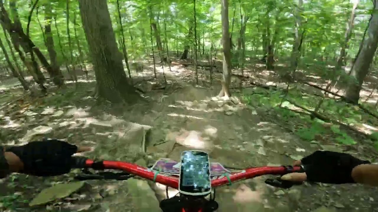 Tree Farm Relay 2023 - Novi, MI