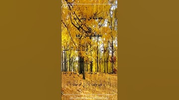 Sourate Al-Humazah | Idriss Abkar (104) سورة الهمزة | إدريس أبكر