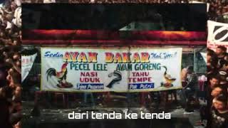 Story wa kupaksakan untuk melangkah iwan fals