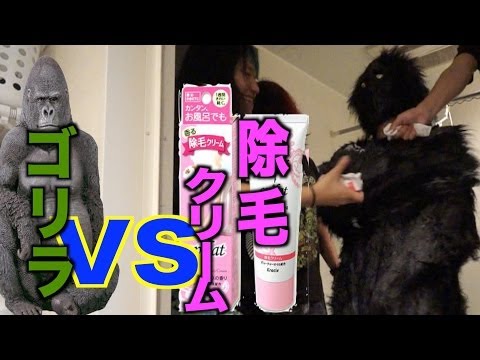 毛のないゴリラって見たくないですか？？