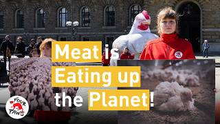 Let us Rethink What's on our Plates! 🍽️🌿 | FOUR PAWS | [SUBS]