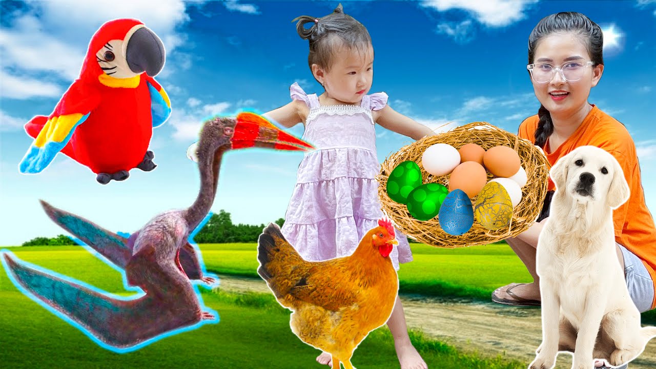 Con chó ăn trứng gà, Changcady đi tìm trứng chim, trứng con gà, trứng khủng long - Part 299