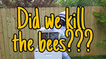 How NOT To Install Your First Package of Bees: Common Mistakes People Make With Their First Hive