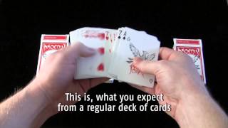 Phoenix Double Decker Deck / SEO MAGIC