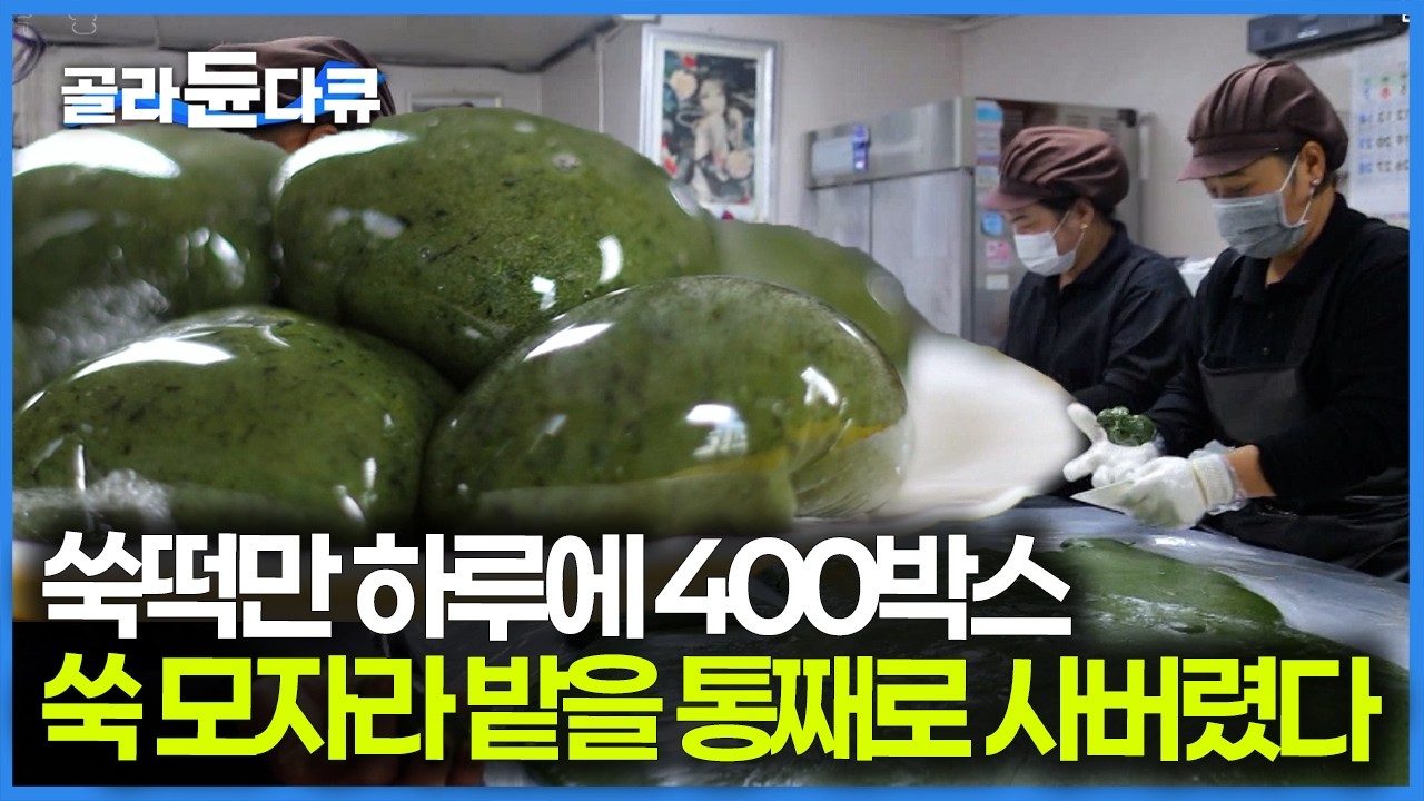 최고의 쑥떡을 만들기 위해 해남 최대 규모의 쑥 농장을 만든 방앗간, 전국 배달 쑥떡 맛집｜한국기행｜#골라듄다큐