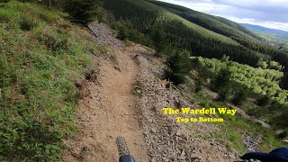 New and Improved! Best Trail at The Golfie | The Wardell Way | 2023