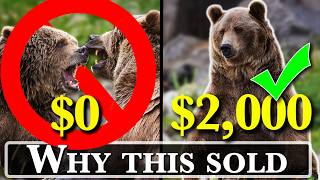 The Difference Between Great and Profitable Stock Photos The Difference Between Great and Profitable Stock Photos