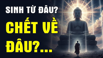 Sinh Từ Đâu – Chết Về Đâu? Sự Thật Khiến Cả Đời Bạn Thay Đổi!