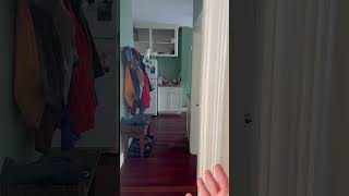 106 Jenkins street, providence RI - first floor apartment