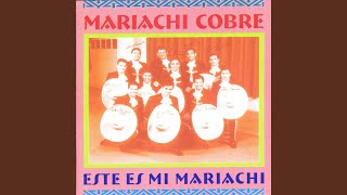 Video voorbeeld van "Mariachi Cobre - El Suchil"