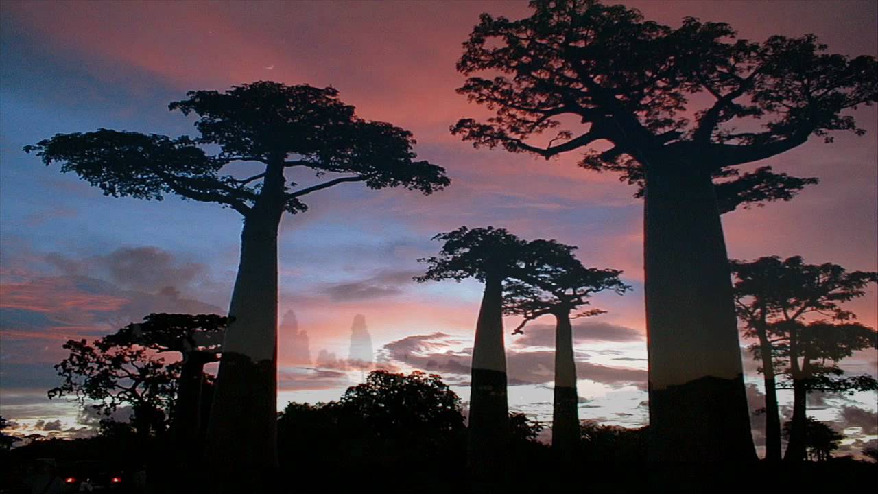 フォトムジーク(Foto Musik)-HD -TDMX edition