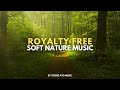 Royalty free soft nature music by ayodhya karunarathne