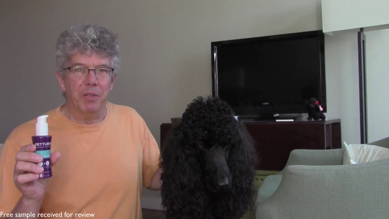 Review Pettura oral health gel for dogs YouTube