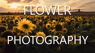 This flower photography made me SO HAPPY (tutorial with tips, settings, ideas)