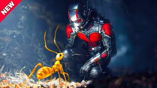 Scott Gains The Ability To Shrink Massively By Becoming Ant man And Creates An Army Of Ants