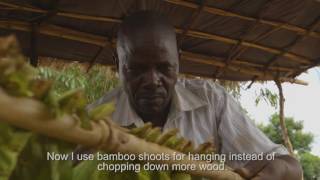Solomon's story: Preserving the local environment in tobacco-growing in Malawi screenshot 3