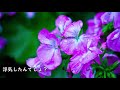 【男性向け・低音ﾎﾞｲｽ】彼の背中を見て浮気を疑う彼女 喧嘩 Japanese situation voice ASMR【シチュエーションボイス・男性向けボイス】