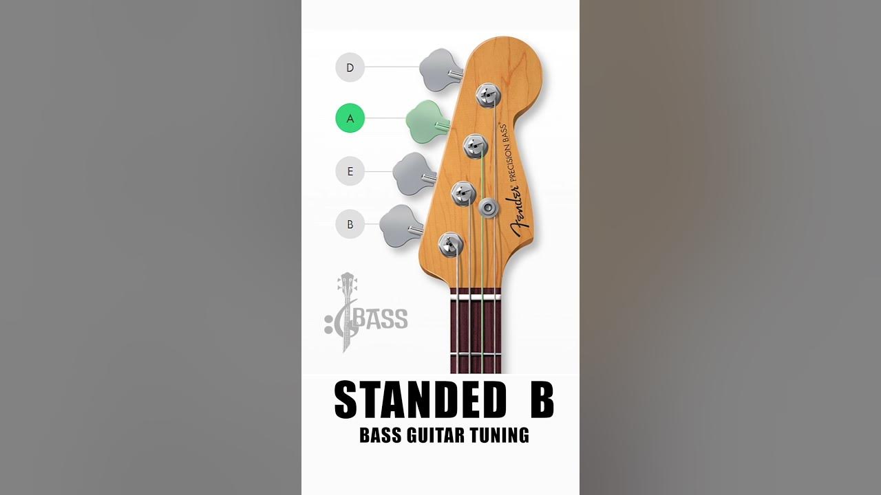 How to tune a bass guitar stranded b 4 strings by chamisbass