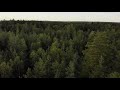 Royalty free 4k forest stock footage  dji drone footage 