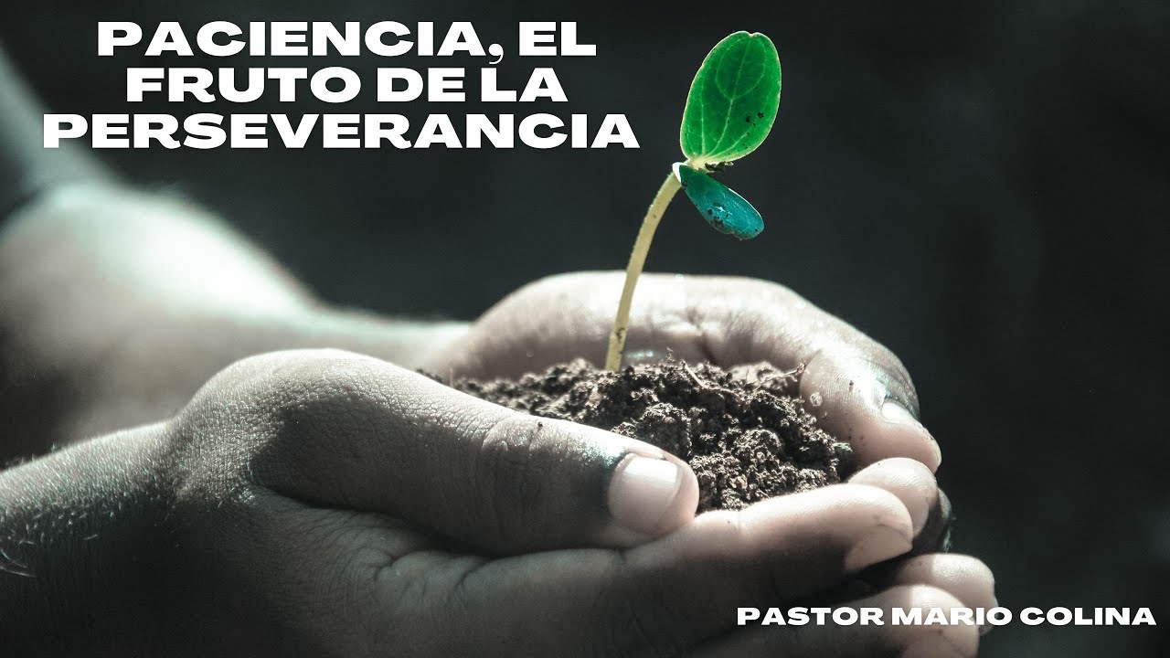 Paciencia, el fruto de la perseverancia - Ps Mario Colina - YouTube