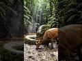 Giant Amazon anaconda swallowing a deer near a jungle river,
