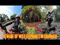 Beware of wild elephants in charmadi ghat   maidadi view point