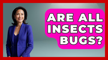 Are All Insects Bugs? - Exploring Campgrounds