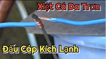 Cách Làm Dây Cáp Thã Xiệt Lạnh Cá Da Trơn 20D 40D | Điện Tử Nguyễn Sự |