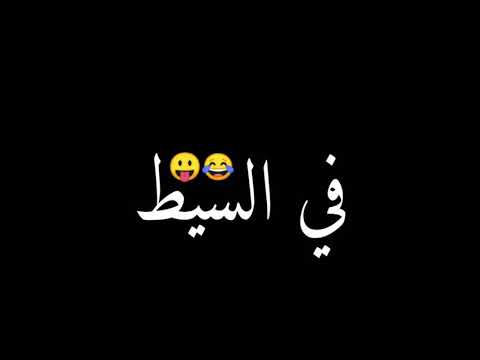 كتاكيت وحلمهم يرشقو في السيط