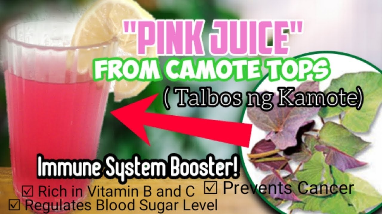 HOW TO MAKE "PINK JUICE" FROM KAMOTE TOPS AND HEALTH BENEFITS YouTube