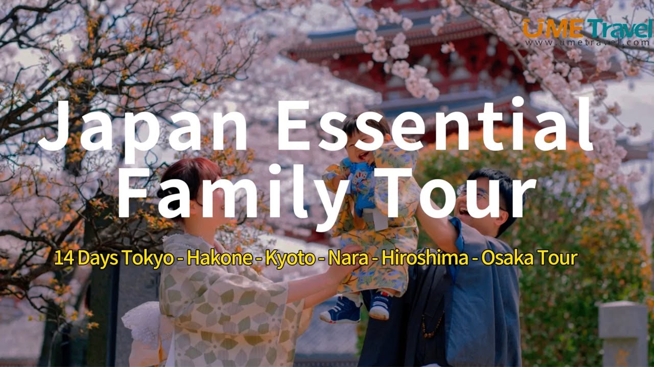 Unique Experiences In Tokyo Reddit