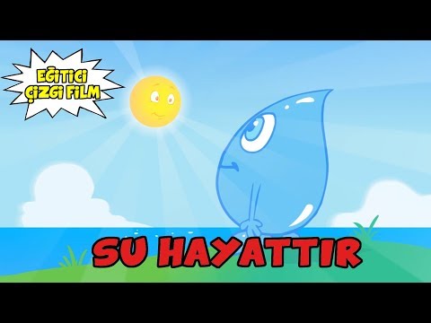 Video: Yaşamın motoru olarak dünyadaki su döngüsü