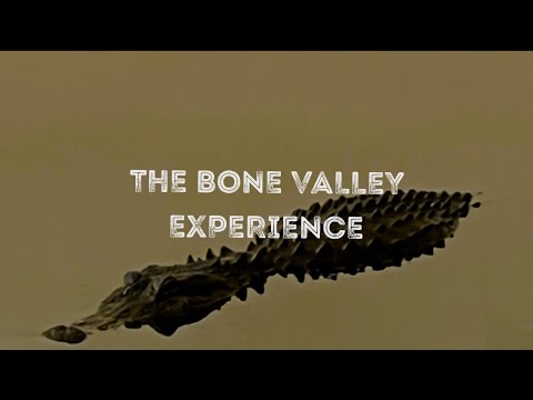 The Bone Valley Experience - YouTube