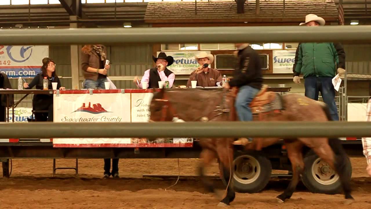 Holiday Classic Sale Rock Springs, Wyoming 2012 YouTube