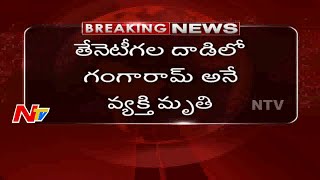 1 Killed and 2 People Wounded as Honey Bees attack in Karimnagar District | NTV