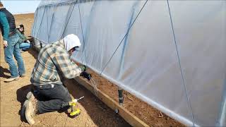 High Tunnel: Anti Billow Cord Installation (14th in series) by AgriLife Today - Texas Agriculture News 2,310 views 5 years ago 1 minute, 23 seconds