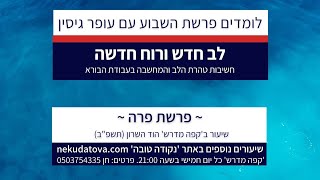 לב חדש ורוח חדשה | פרשת פרה | עופר גיסין