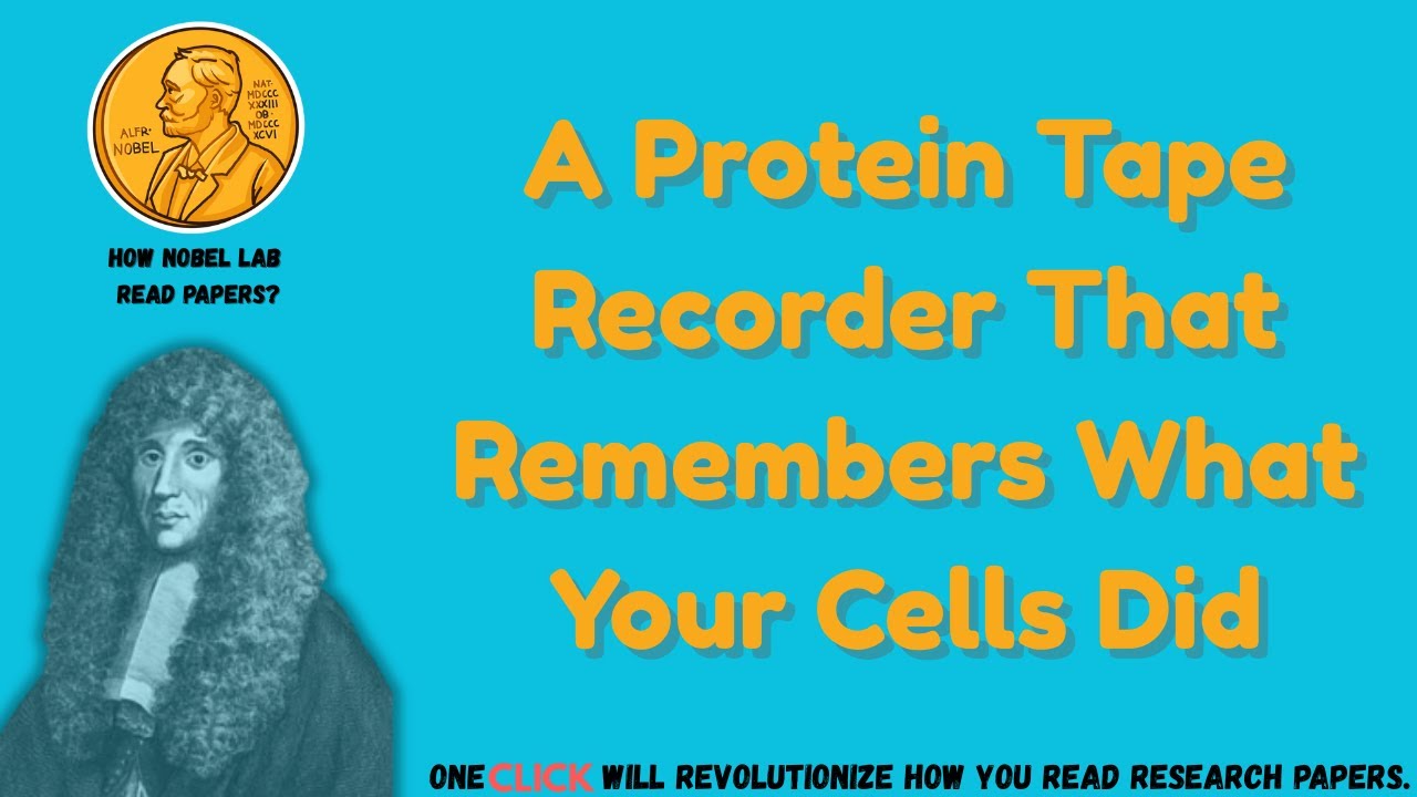 Белковый магнитофон, запоминающий действия ваших клеток в течение нескольких недель [Nature, 2026]