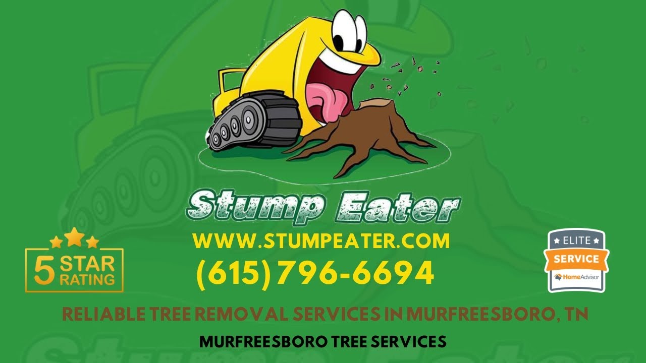 Reliable Tree Removal Services in Murfreesboro, TN