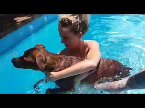 Neo nada por primera vez farmers insurance